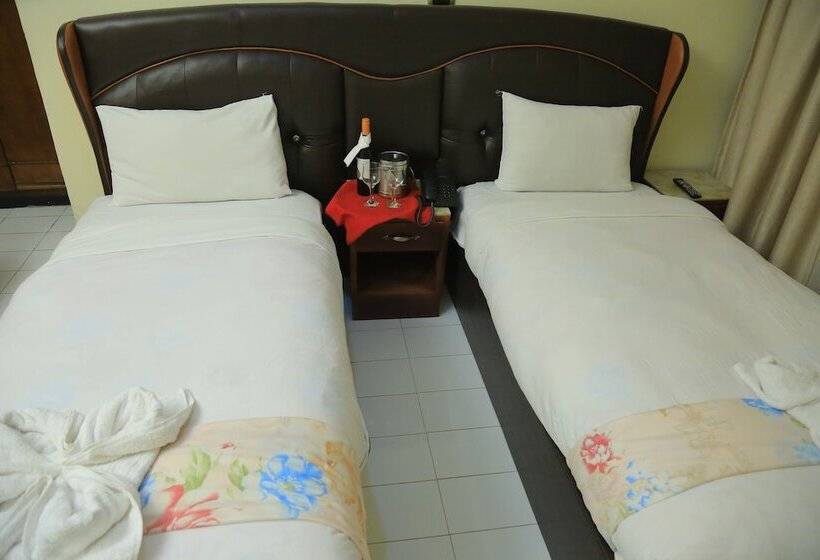 اتاق لوکس با چشمانداز دریاچه, Dib Anbessa