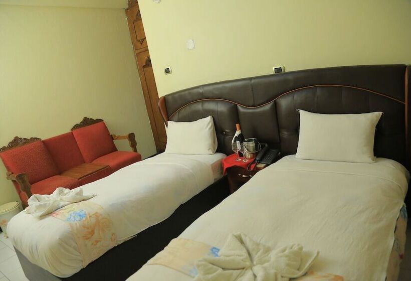 اتاق لوکس با چشمانداز دریاچه, Dib Anbessa