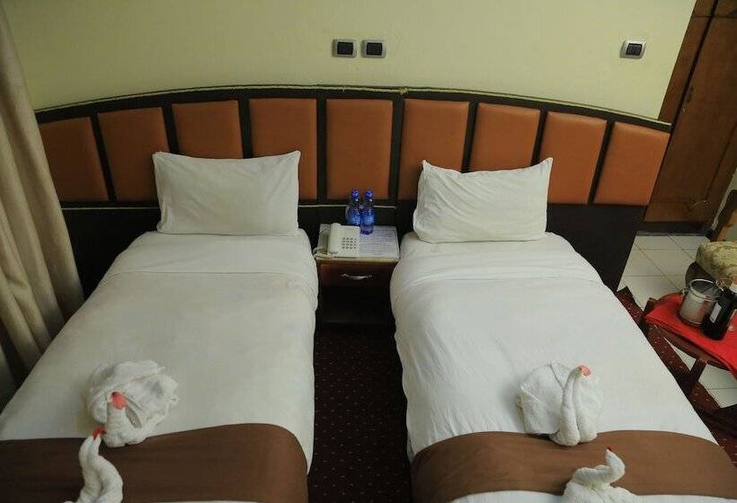 اتاق لوکس, Dib Anbessa