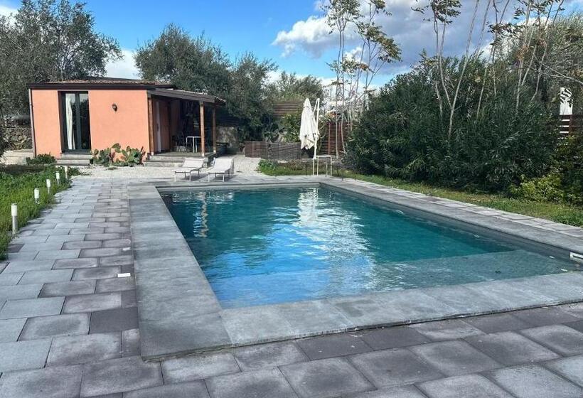 テラス付き1ベッドルームアパートメント, Ottomood B&b And Apartments