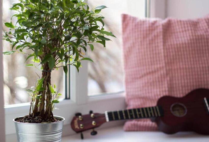 غرفة سوبيريور, Chillout Hostel