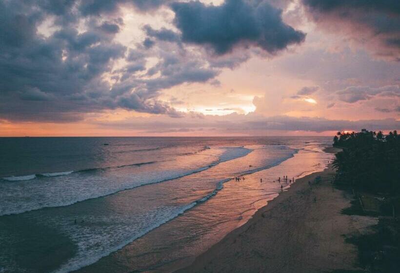 스위트, The Sandhya