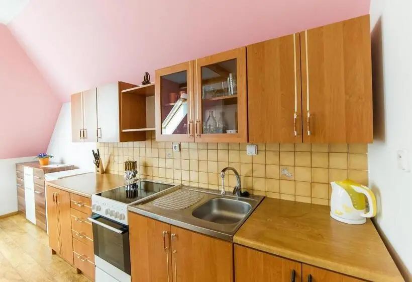 Huoneisto 1 Makuuhuone Parveke, Penzion Na špičáku