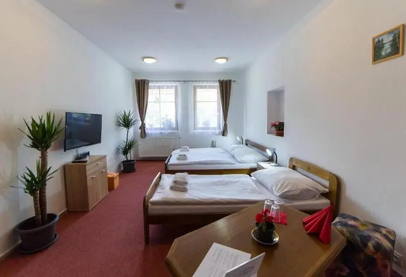 Standard Kolmen Hengen Huone, Penzion Na špičáku
