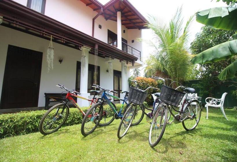 Апартаменты 1 Спальня Нижний Этаж, River Breeze Villa Bentota
