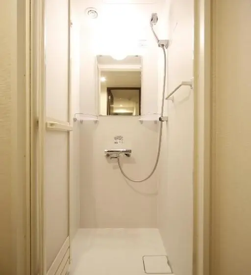 Standard Room King Size Bed, Natural Hot Spring Shoun No Yu Dormy Inn Kofu Marunouchi