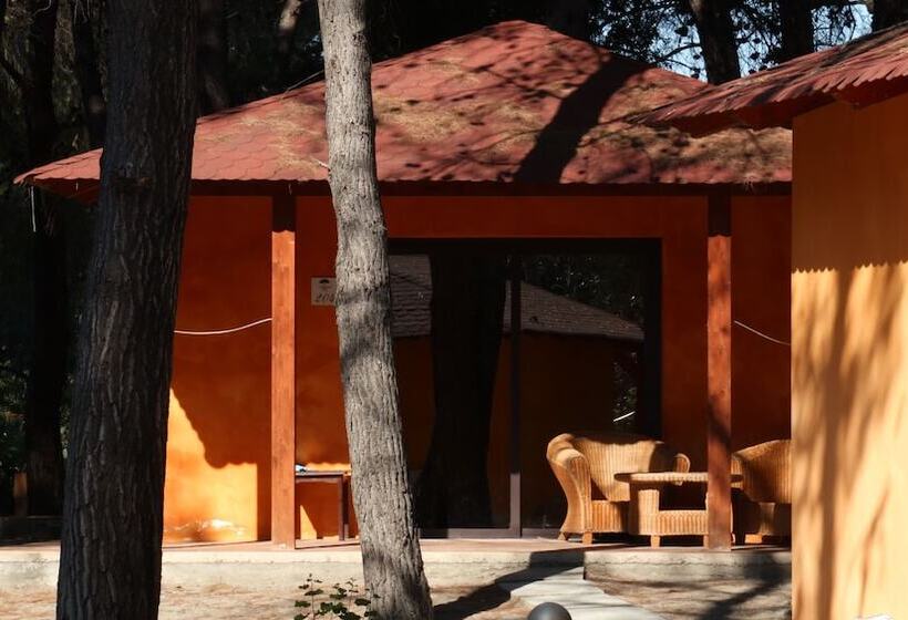 Номер Стандарт Трехместный, Club Nature Village