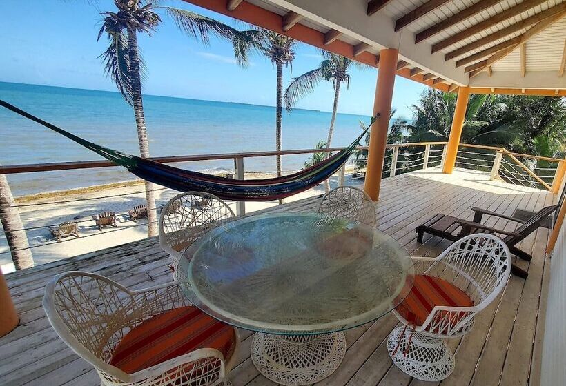 דירת חדר בסיסית, Maya Beach