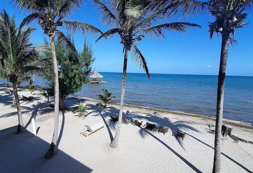 דירת חדר בסיסית, Maya Beach