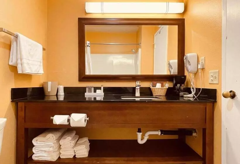 デラックスルーム, Apple Inn Motel