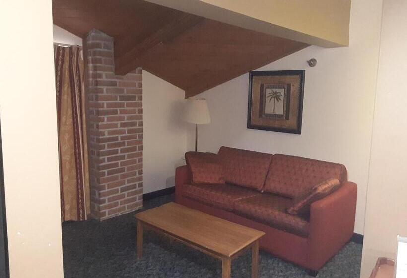 エクゼクティブスイート, American Inn And Suites Ionia