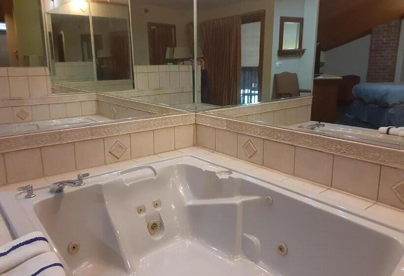 Президентский Люкс, American Inn And Suites Ionia