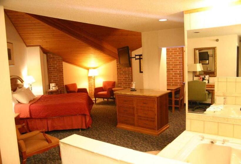 エクゼクティブスイート, American Inn And Suites Ionia