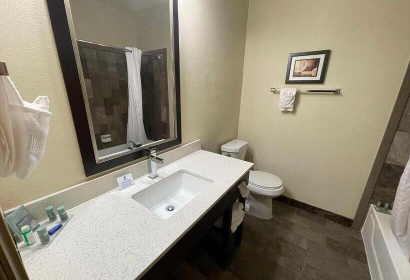 اتاق استاندارد با تخت بزرگ, Best Western Aspen