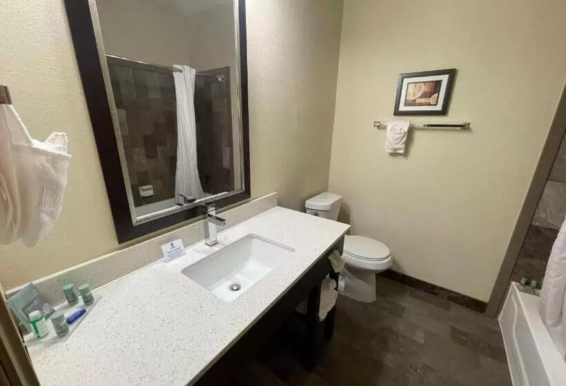 キングサイズベッドのスタンダードルーム, Best Western Aspen