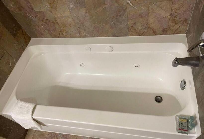 غرفة قياسية سرير كينج, Best Western Aspen