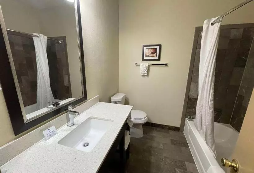 キングサイズベッドのスタンダードルーム, Best Western Aspen