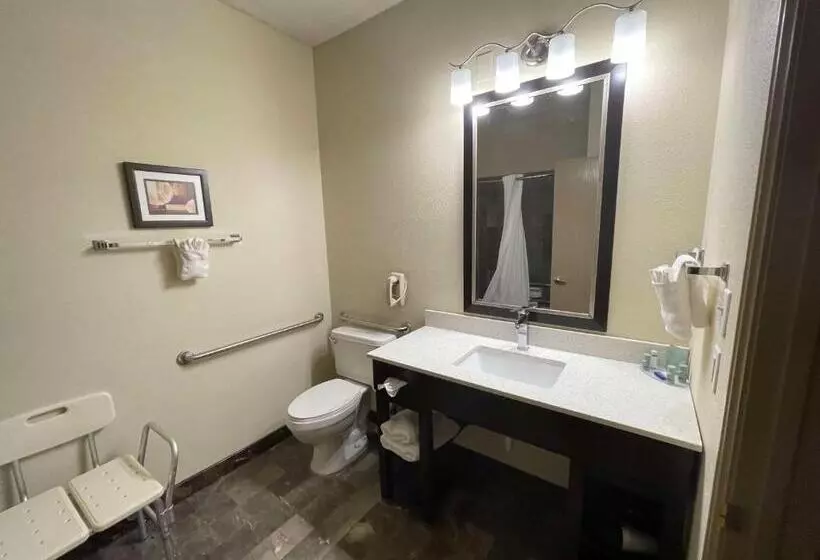 身障者適用キングサイズベッドルーム, Best Western Aspen