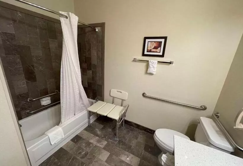 身障者適用キングサイズベッドルーム, Best Western Aspen