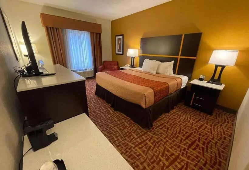 身障者適用キングサイズベッドルーム, Best Western Aspen