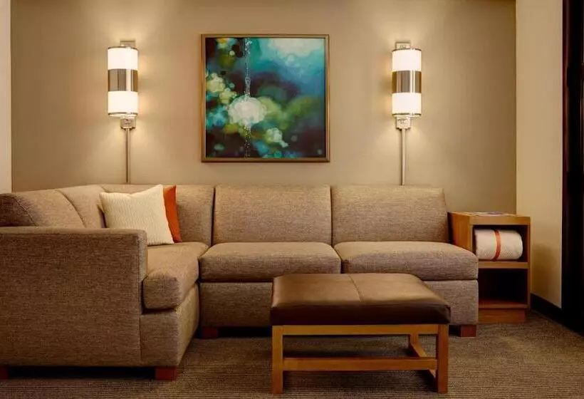 スタンダードルーム, Hyatt Place Fort Worth / Cityview