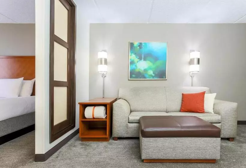 Standard-huone 2 Parivuodetta, Hyatt Place Fort Worth/hurst