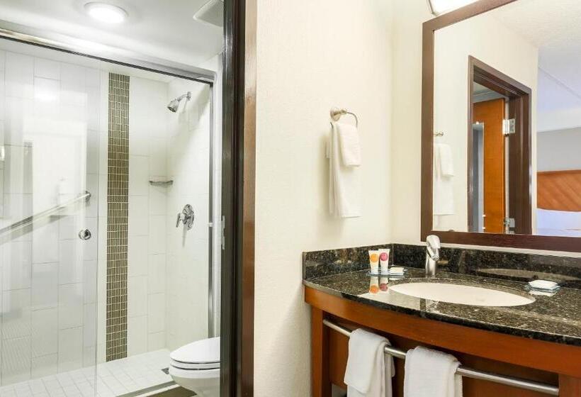 标准间, Hyatt Place Fort Worth/hurst