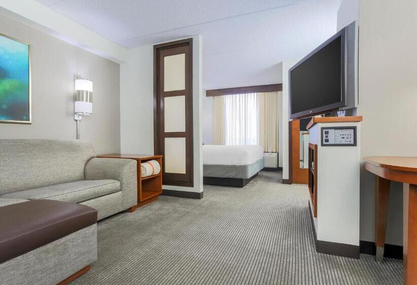 带大床的标准间, Hyatt Place Fort Worth/hurst