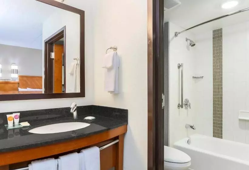 Standard-invahuone King-vuode, Hyatt Place Fort Worth/hurst