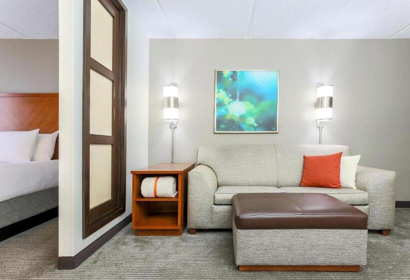 适合残疾人士使用的带超级大床的标准间, Hyatt Place Fort Worth/hurst