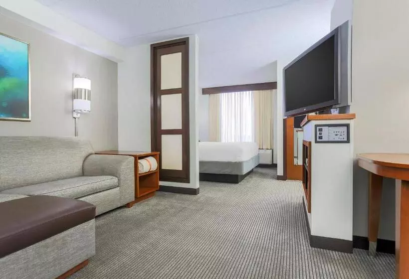 Standard-invahuone King-vuode, Hyatt Place Fort Worth/hurst