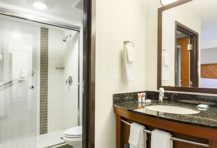 带2个双人床的标准工作室, Hyatt Place Fort Worth/hurst