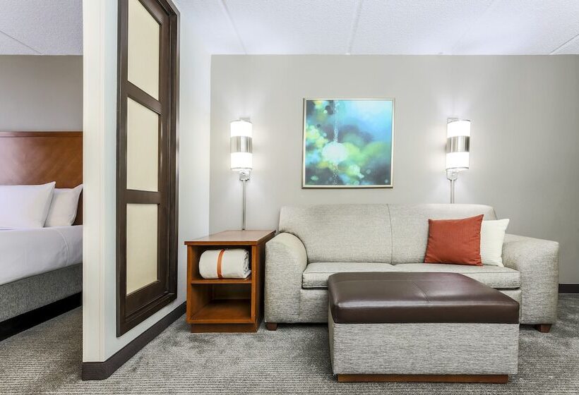 带2个双人床的标准工作室, Hyatt Place Fort Worth/hurst