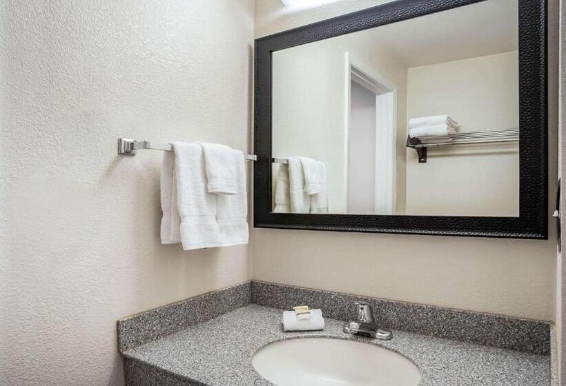 غرفة قياسية سرير كينج, La Quinta Inn By Wyndham Oshkosh