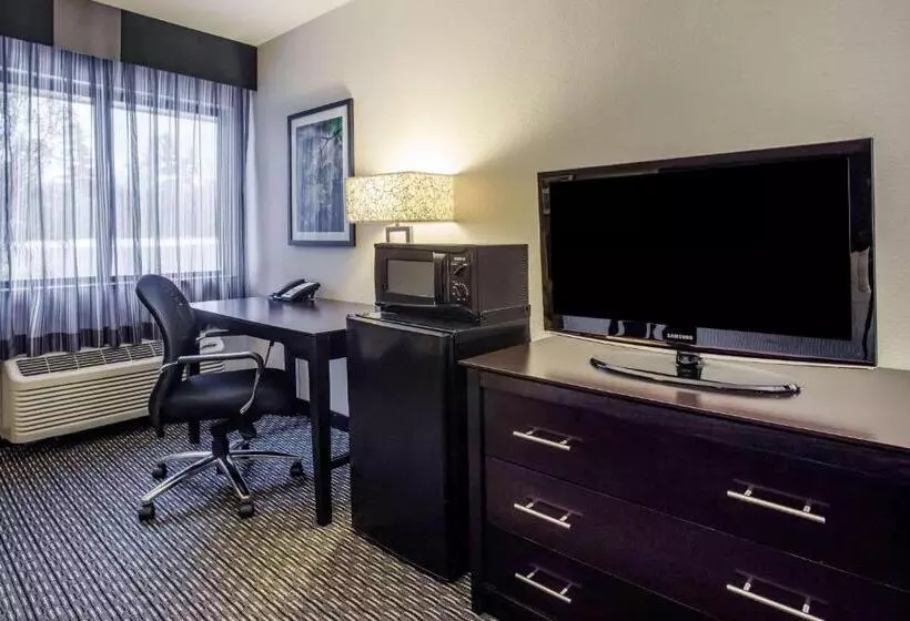 اتاق استاندارد با تخت بزرگ, La Quinta Inn By Wyndham Oshkosh