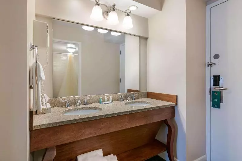 キングサイズベッドのスタンダードルーム, Quality Inn & Suites