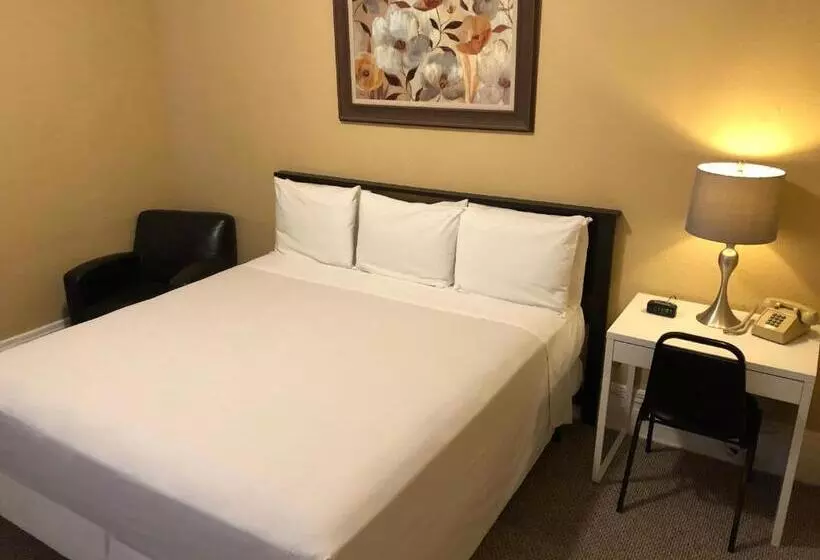 اتاق لوکس با تخت بزرگ, Sf Plaza