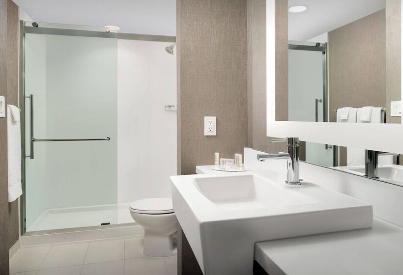 Люкс, Springhill Suites By Marriott Atlanta Perimeter Center