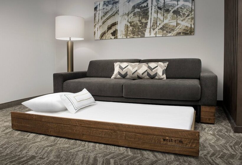 Люкс, Springhill Suites By Marriott Atlanta Perimeter Center