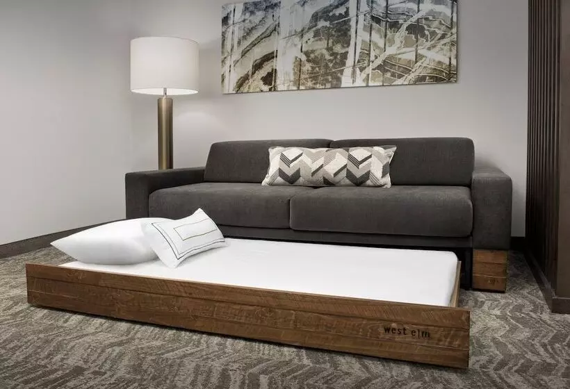 スイート, Springhill Suites By Marriott Atlanta Perimeter Center
