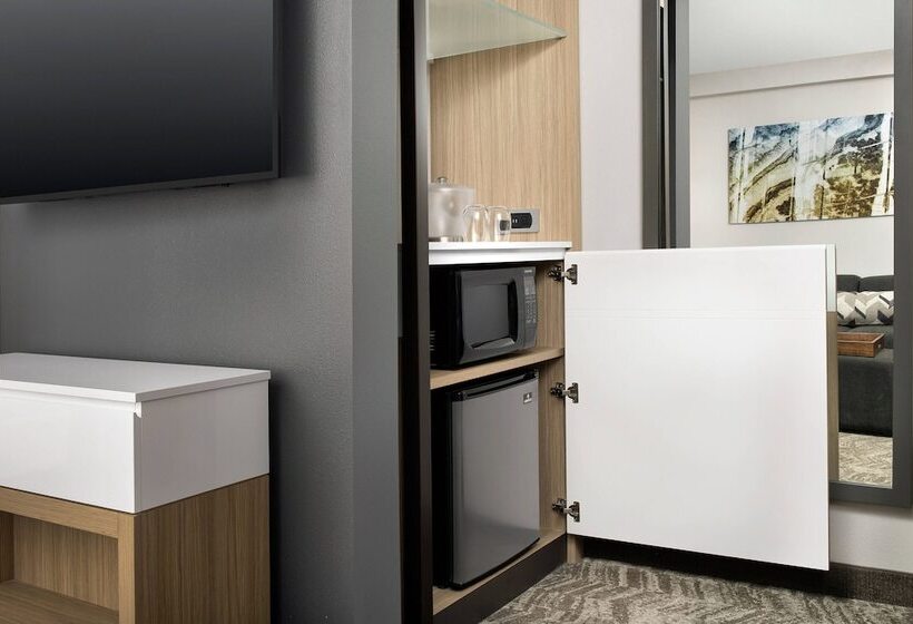 Люкс, Springhill Suites By Marriott Atlanta Perimeter Center