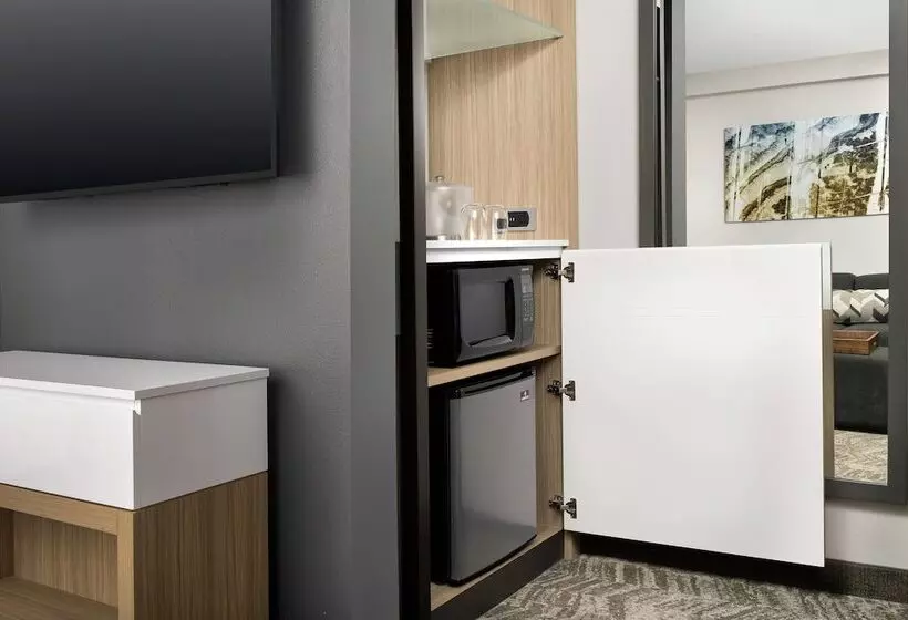 スイート, Springhill Suites By Marriott Atlanta Perimeter Center