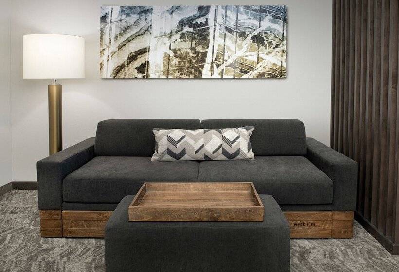 Люкс, Springhill Suites By Marriott Atlanta Perimeter Center