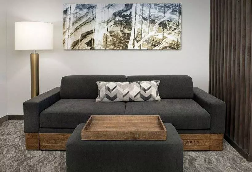 スイート, Springhill Suites By Marriott Atlanta Perimeter Center