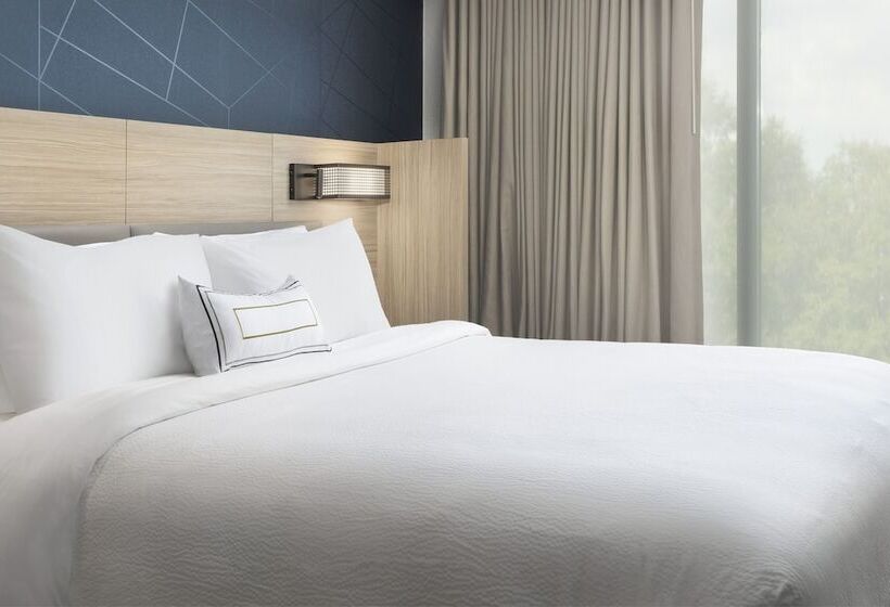 Люкс, Springhill Suites By Marriott Atlanta Perimeter Center