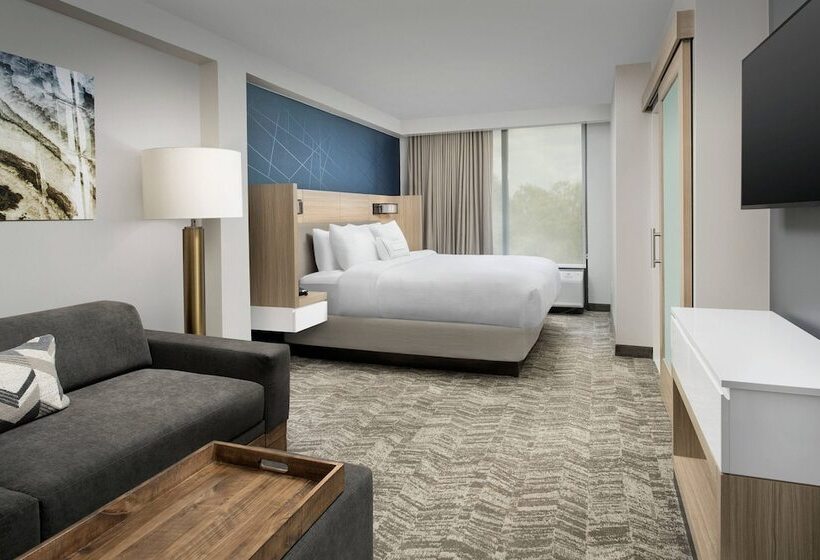 Люкс, Springhill Suites By Marriott Atlanta Perimeter Center