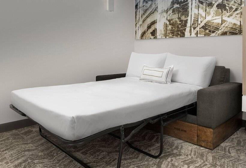 Люкс, Springhill Suites By Marriott Atlanta Perimeter Center