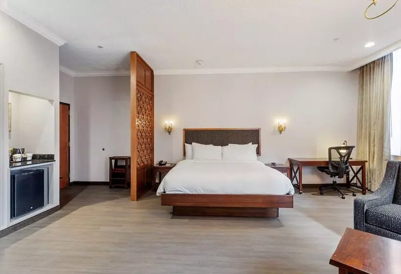 سوییت, Wyndham Garden Baronne Plaza