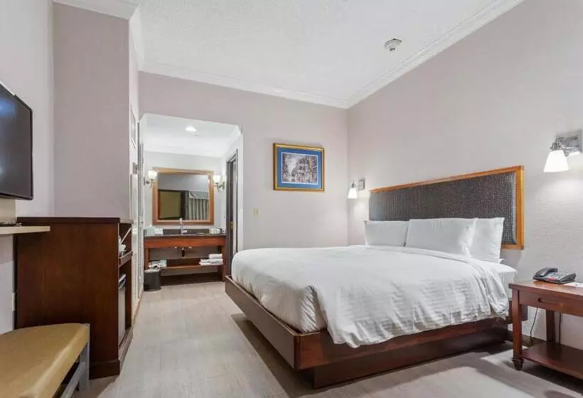 اتاق استاندارد با تخت بزرگ, Wyndham Garden Baronne Plaza