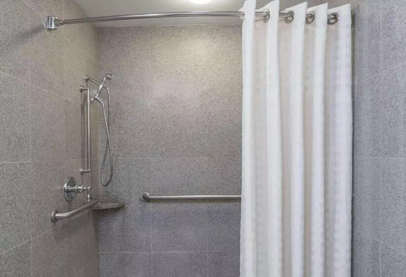 اتاق استاندارد با تخت بزرگ برای معلولان, Wyndham Garden Baronne Plaza